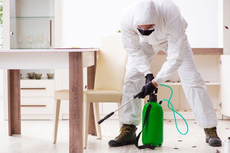 Spider Mite Extermination in Katy, TX
