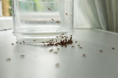 Prevent Property Damage!