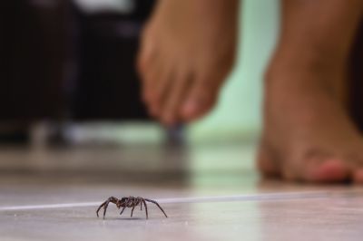 Reduce Fear and Anxiety!